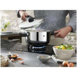 Zwilling Dampfkochtopf 22 Cm -Zwilling Verkäufe 000008256