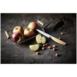 Ballarini Spick & Garniermesser 9 Cm, Pakka Holz -Zwilling Verkäufe 424415299