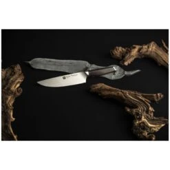 Zwilling Kochmesser 20 Cm -Zwilling Verkäufe 750060539